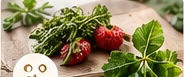 Beeren und Blattgemüse