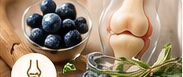 Beeren und Kräuter